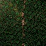 nazarizal-mohammad-RmwNno4cpZ0-unsplash