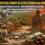 Deforestasi Sawit di Aceh Utara & Bireuen: Jaringan Kuasa dan Banjir