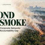 Beyond the Smoke: Indonesia's 2026 fires, corporate networks and the regional accountability gap
